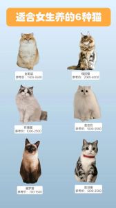 哪些宠物猫品种适合家养_怕冷怕晒要注意