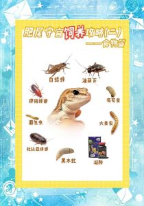 壁虎会吃掉寄居蟹吗_壁虎吃昆虫不吃粮，耐饿怕冷夜活动