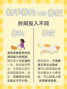 82属狗的人养猫相克吗_狗养猫有冲突，风水也相克，建议养兔子或鱼