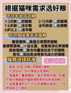 猫应该一天喂几顿_幼猫少食多餐，成猫定时定量，科学喂养保健康