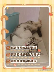 成年猫频繁踩奶危害_成年猫频繁踩奶或示警健康问题