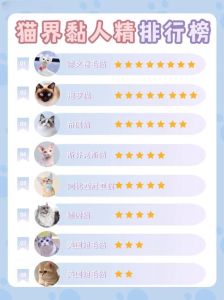 最粘人的猫排名第一是谁_哪些猫最粘人？品种性格大盘点