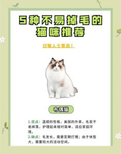 猫咪温顺排行榜_十大温顺猫咪品种，布偶猫夺冠！