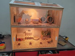 基于stm32的爬宠饲养箱_远程温控，养宠更轻松