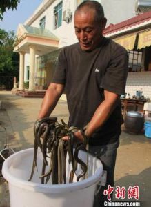 小区里有人养蛇怎么维权_小区养蛇扰民 法院判决搬走