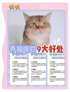 五行缺水能养猫吗_养猫补水润心，蓝色绿色最合适