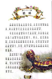 蜘蛛能在哪些领域给人启发_留后路懂方法会变通
