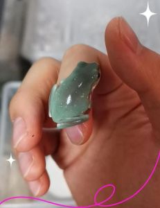 树蛙单养一只会孤单吗_树蛙独居，养需注意环境，别和角蛙混养