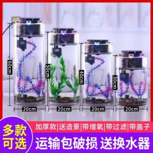 圆柱水族箱适合养什么鱼_安全好看圆柱鱼缸，养好养的金鱼孔雀红鲤