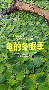 冬天如何养乌龟最好_冬天养乌龟注意温度，保暖喂食别出错