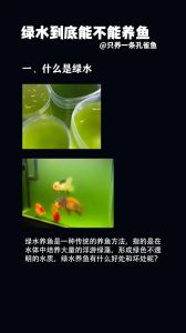 养鱼绿水好还是透明水好_绿水清水养金鱼，各有优劣要权衡，自然人工巧结合