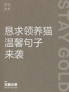 猫希望有人陪伴吗_养猫别强求，先给猫咪安全感，它们自己也能玩得很开心