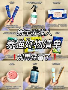 如何通过bou jeloud日本官网购买宠物用品？有哪些值得关注的购买建议和注意事项？