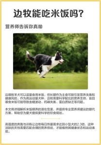 2026宠物新趋势，天性喂养，科学喂养更健康！