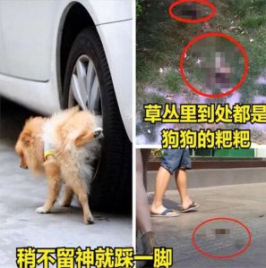 喷轮胎上狗尿上就死的是什么_警惕！喷药驱狗致死，偷狗肉电击飞镖，请爱护小动物！