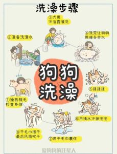 大型犬冬天多久洗一次澡_狗狗冬天洗澡不用太频繁，春秋两周，夏天一周，冬天可隔20天，注意水温与吹干