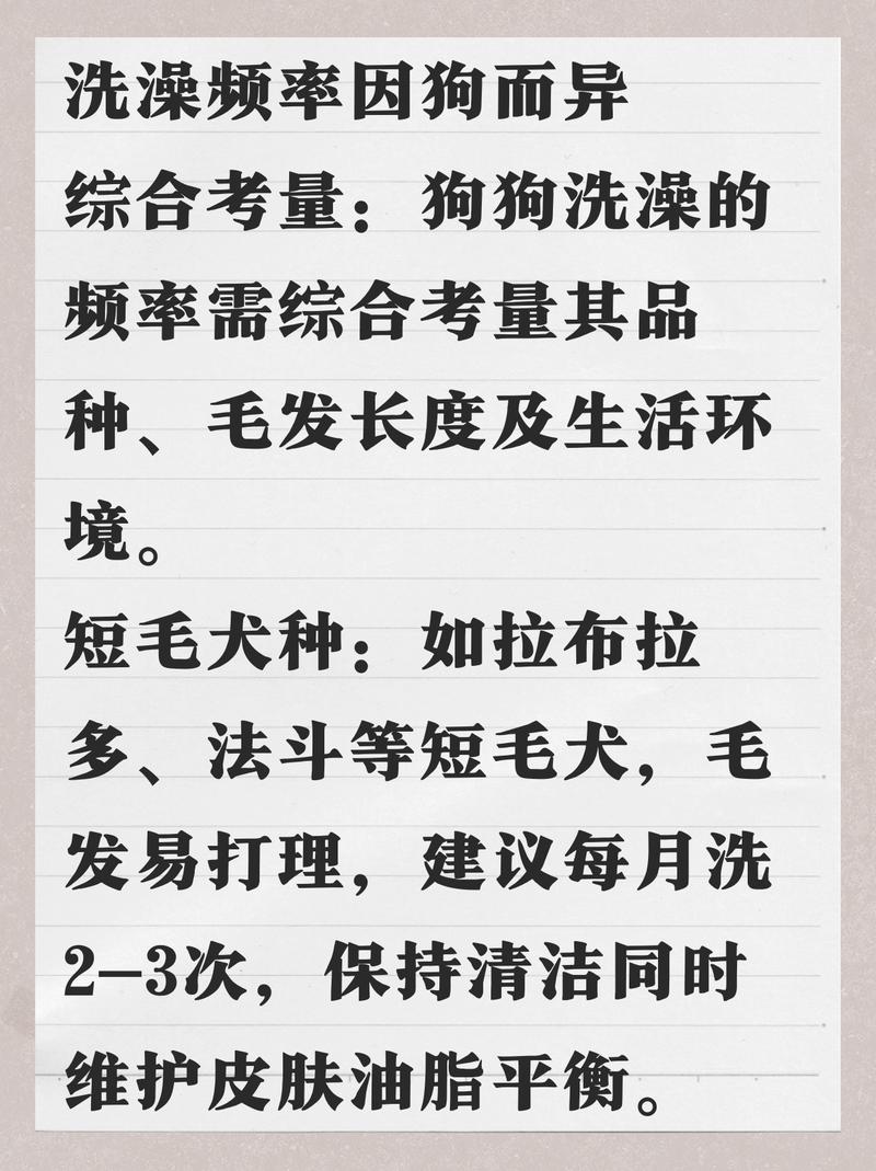 狗嘴勤多久洗一次澡_狗狗洗澡频率因情况而定,健康狗2-3周洗一次,短毛狗一个月,长毛狗勤洗,注意皮肤病和小狗狗要少洗 狗嘴勤多久洗一次澡_狗狗洗澡频率因情况而定,健康狗2-3周洗一次,短毛狗一个月,长毛狗勤洗,注意皮肤病和小狗狗要少洗