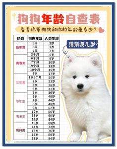 大型犬多久成年_8-10月大犬骨未熟 心未定 护理要细心
