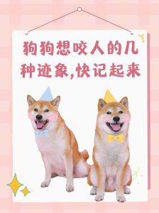 狗咬自家主人是什么征兆_狗狗咬人是在跟你说话，多理解别只当它坏！