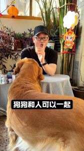 泰迪能和人长期睡在一起吗_泰迪挨着睡亲，但卫生和健康要注意