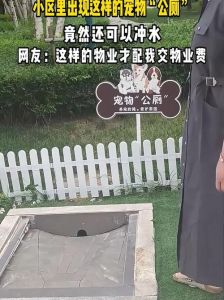 狗狗把厕所当成自己玩的地方_宣示主权探险与保护，主人如何引导？