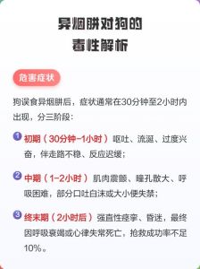 异烟肼狗闻了会死吗_警惕！异烟肼对狗剧毒，误食致命，请妥善保管药品！