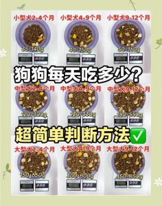 成年牧羊犬一天吃多少斤狗粮_因年龄体重活动量而异