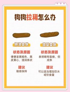土狗小奶狗为什么拉屎是稀的_小狗软便怎么办？新手养狗必看！