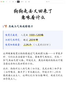 跟回来的狗意味着什么_狗狗跟着人回家？旺财还是迷路？