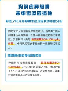 狗闻了异烟肼会死吗_警惕！小区有人撒毒药毒狗，主人文明养狗也被骂，请勿伤害宠物！