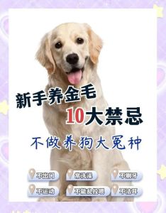 金毛能不能喂剩饭_金毛犬别吃剩饭，易中毒伤肾，专用狗粮更健康！