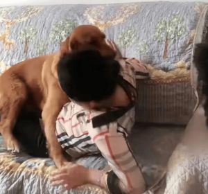 被养大的小狗反扑了_天津女子养狗年余被咬，网友热议禁养政策，养狗注意事项引关注