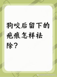 狗咬了以后是什么样子_被狗咬伤别慌，及时处理伤口打疫苗最重要！