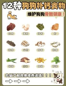 田园犬喂什么最省钱又健康_狗狗喂养不复杂，剩饭加点菜，保暖驱虫样样到，健康快乐没烦恼