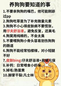 狗狗吃微量元素是骗局_狗狗补微量元素，吃肉海鲜就够，别乱补！
