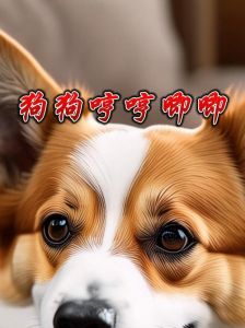 狗打架后睡觉哼唧哼唧_狗狗睡觉哼唧？可能是做梦，但要注意健康！