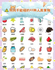 狗狗食物禁忌_巧克力葡萄洋葱别喂狗！