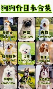 皮皮狗为什么那么便宜_皮皮狗便宜原因，健康风险大，选狗勿只看价格