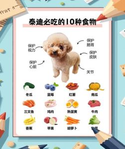 搜索什么给狗吃便宜又好_国产狗粮性价比高，健康实惠，科学喂养，预算有限也能养好狗狗
