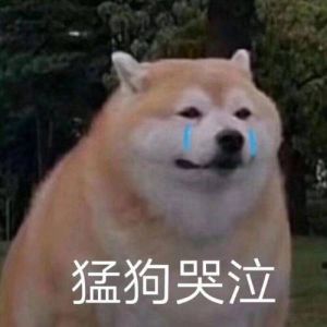 小狗哭唧唧叫妈妈_小狗哭唧唧？快查查它为啥不舒服！