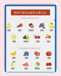 狗忌口哪些东西_巧克力洋葱葡萄木糖醇骨头，狗狗的饮食禁忌
