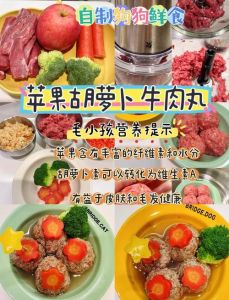 搜索什么菜给狗吃便宜又好_狗狗辅食别只喂狗粮，家常便饭煮熟切碎也健康！