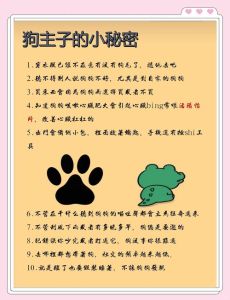 怎样把狗狗彻底丢掉_疫情期间养狗责任大，狗狗太多送人要负责，别遗弃，合法转手要对生命负责