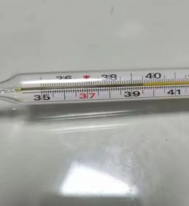 幼犬体温39.5正常吗_幼犬体温39.5℃稍高，需留意是否发烧，注意观察并及时就医