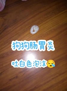 幼犬软便但是精神很好_狗狗拉稀但精神好？原因多别大意，带血快就医！