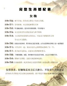 94年属狗女最佳婚配_属兔男温柔，属虎男激情，属马男开朗，属蛇男稳重