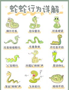 看见蛇配对会倒霉吗_两条蛇缠一起？别怕，科学告诉你真相！