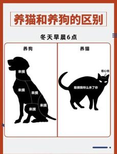 宠物养狗好还是养猫好_选猫还是狗？看你的时间空间和预算！