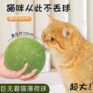 超大逗猫棒_超长逗猫棒，结实耐咬，羽毛铃铛吸引猫，轻松逗玩不累