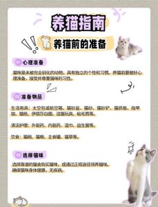 学生怎样说服父母养猫_主动负责，预算担当，行动证明！